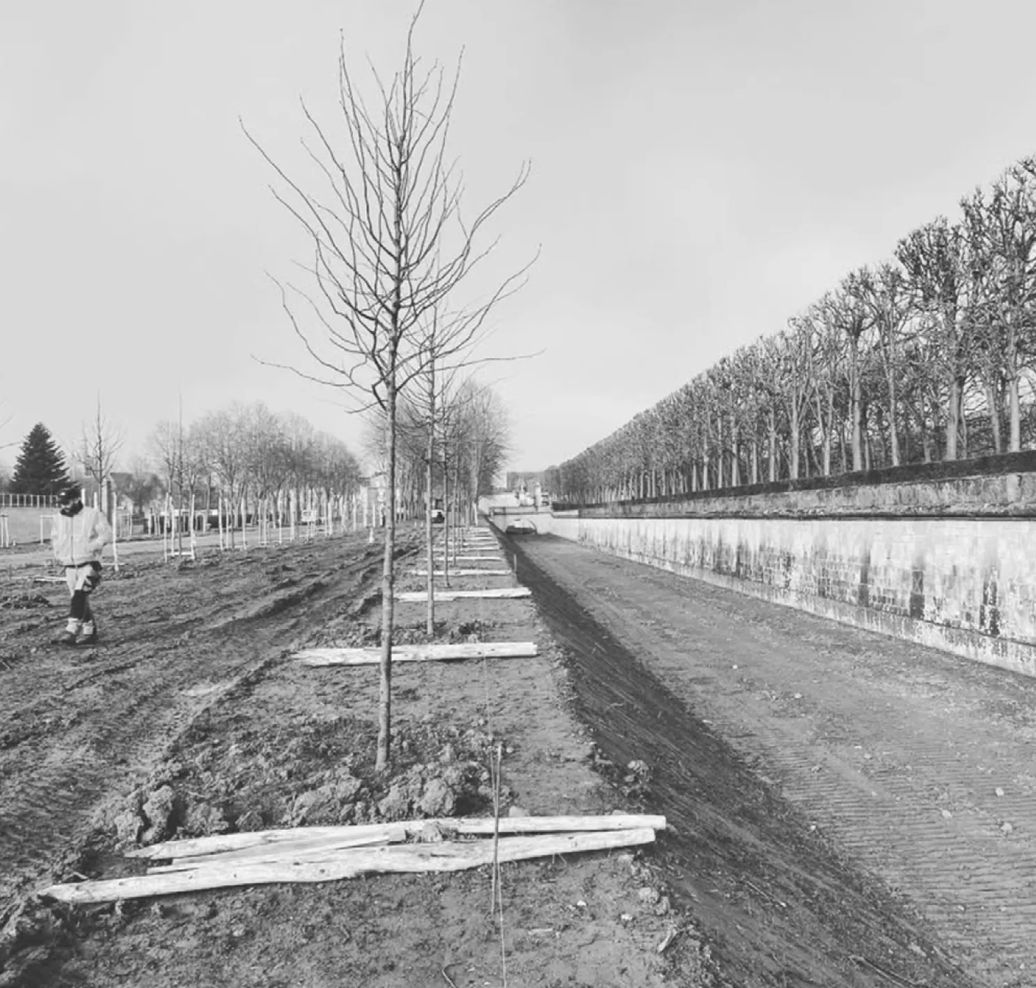 Allée du Fleuriste à Compiègne