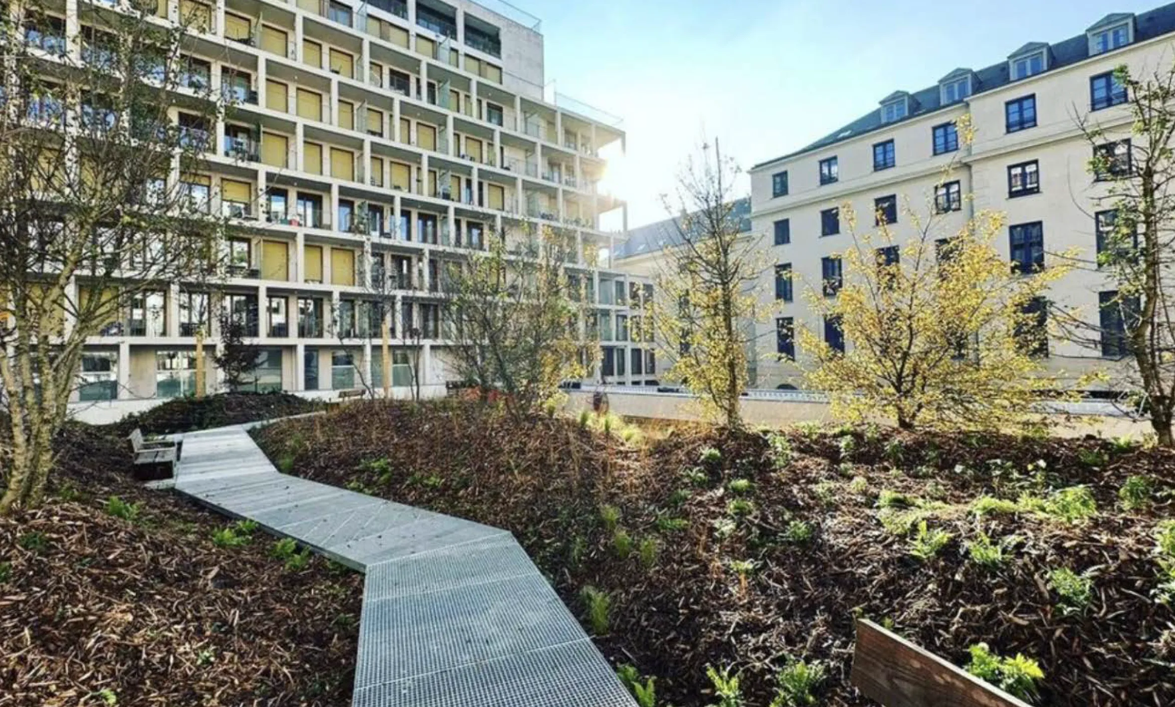 Chemin végétalisé