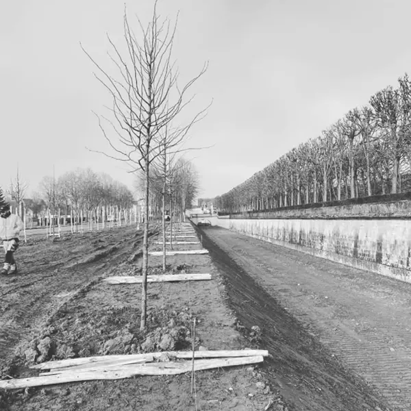 Palais impérial de Compiègne