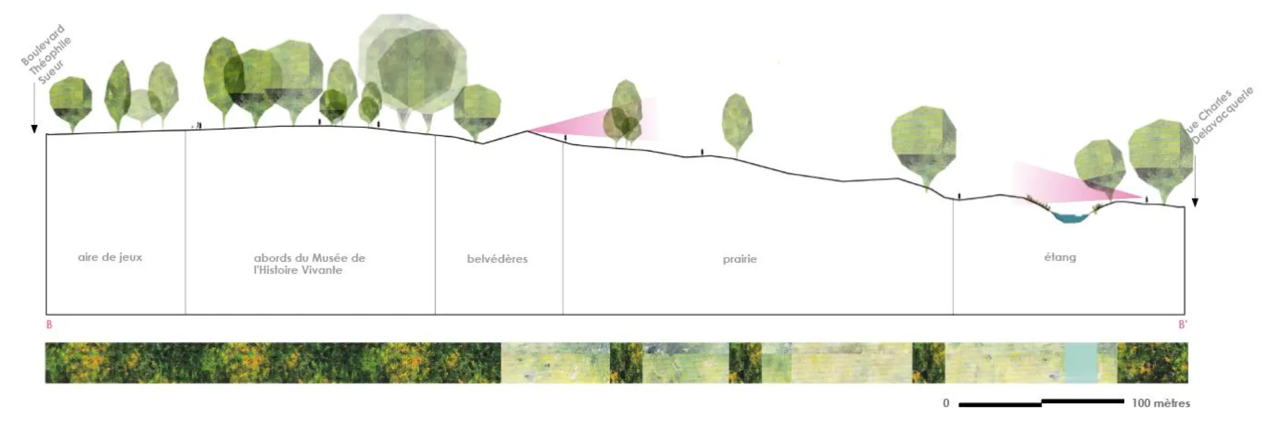 Coupe entité paysagère