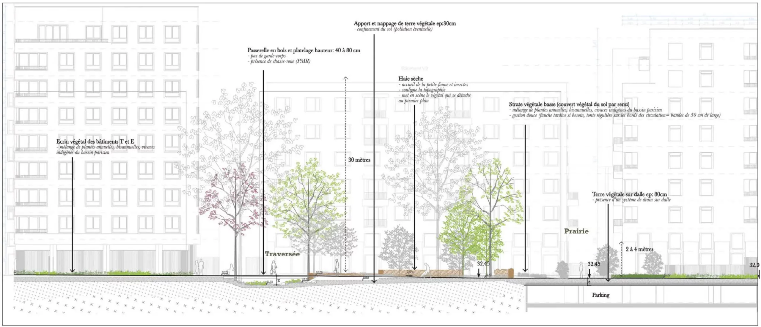 Coupe longitudinale ZAC