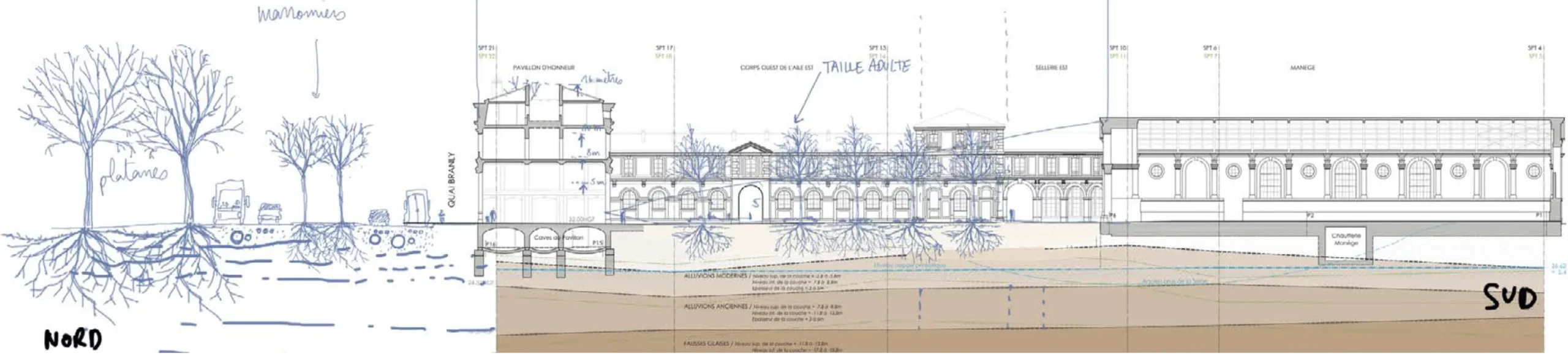 Coupe de principe du Palais de l'Alma