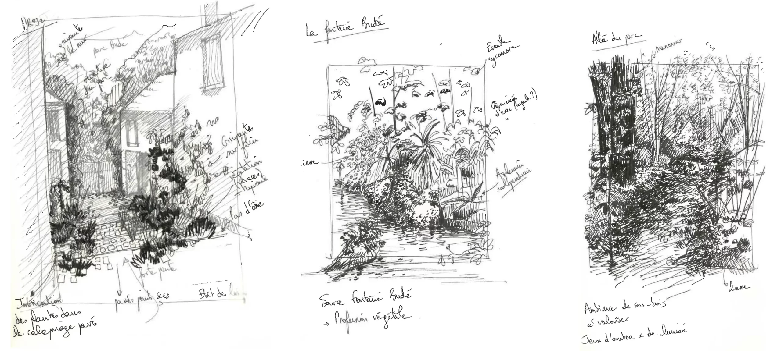 Esquisses ambiances végétales