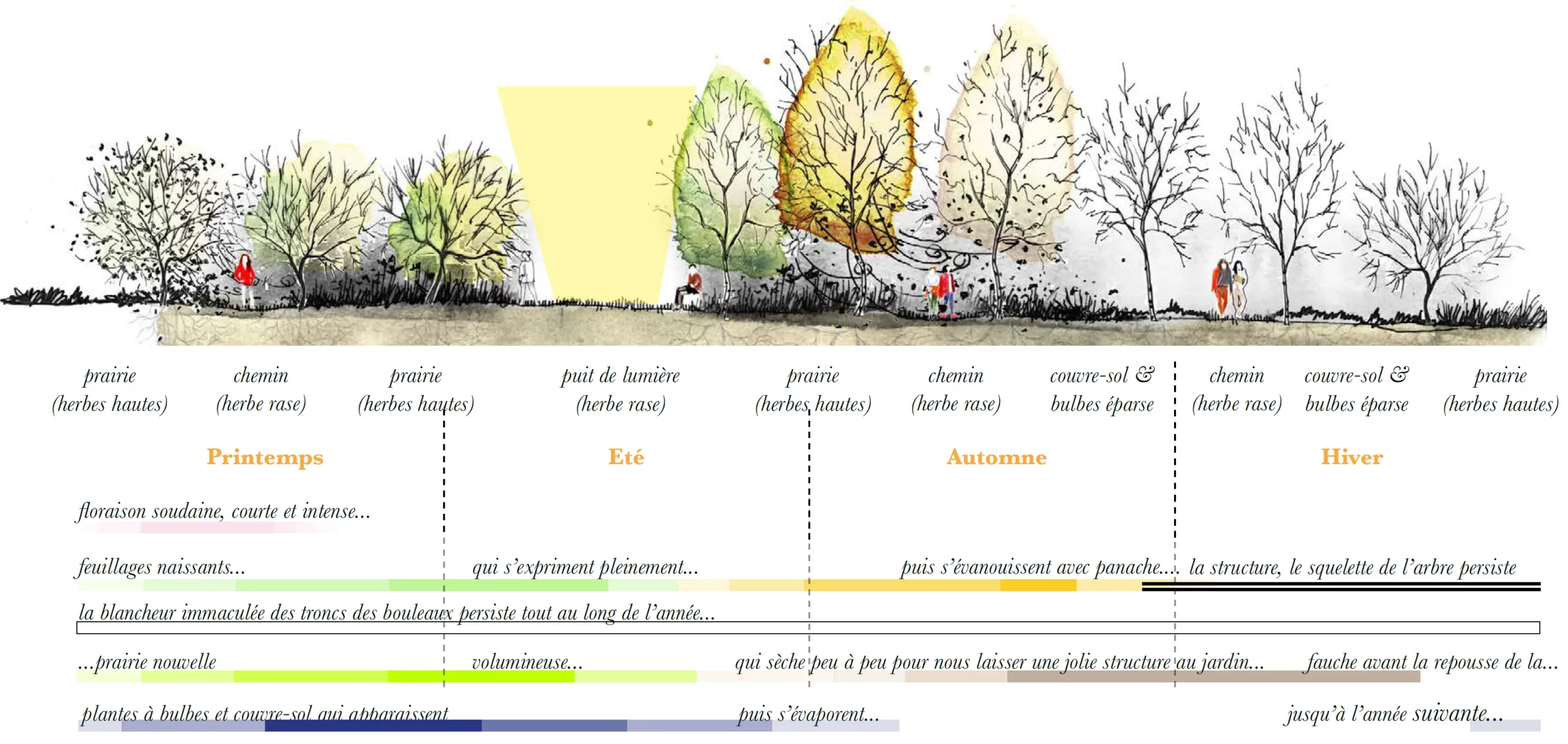 Evolution des végétaux au fil des saisons