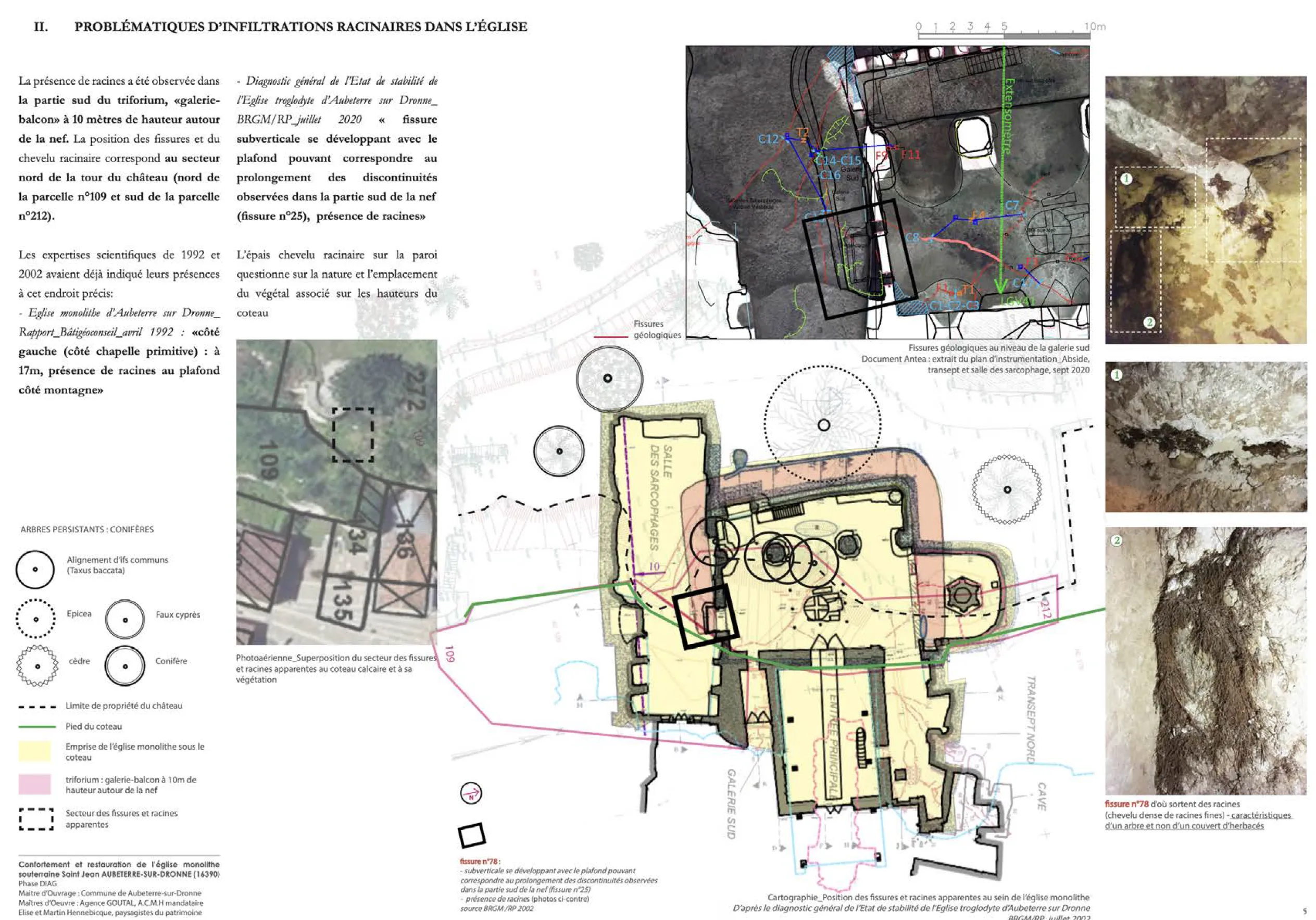 Problématiques d’infiltrations racinaires
