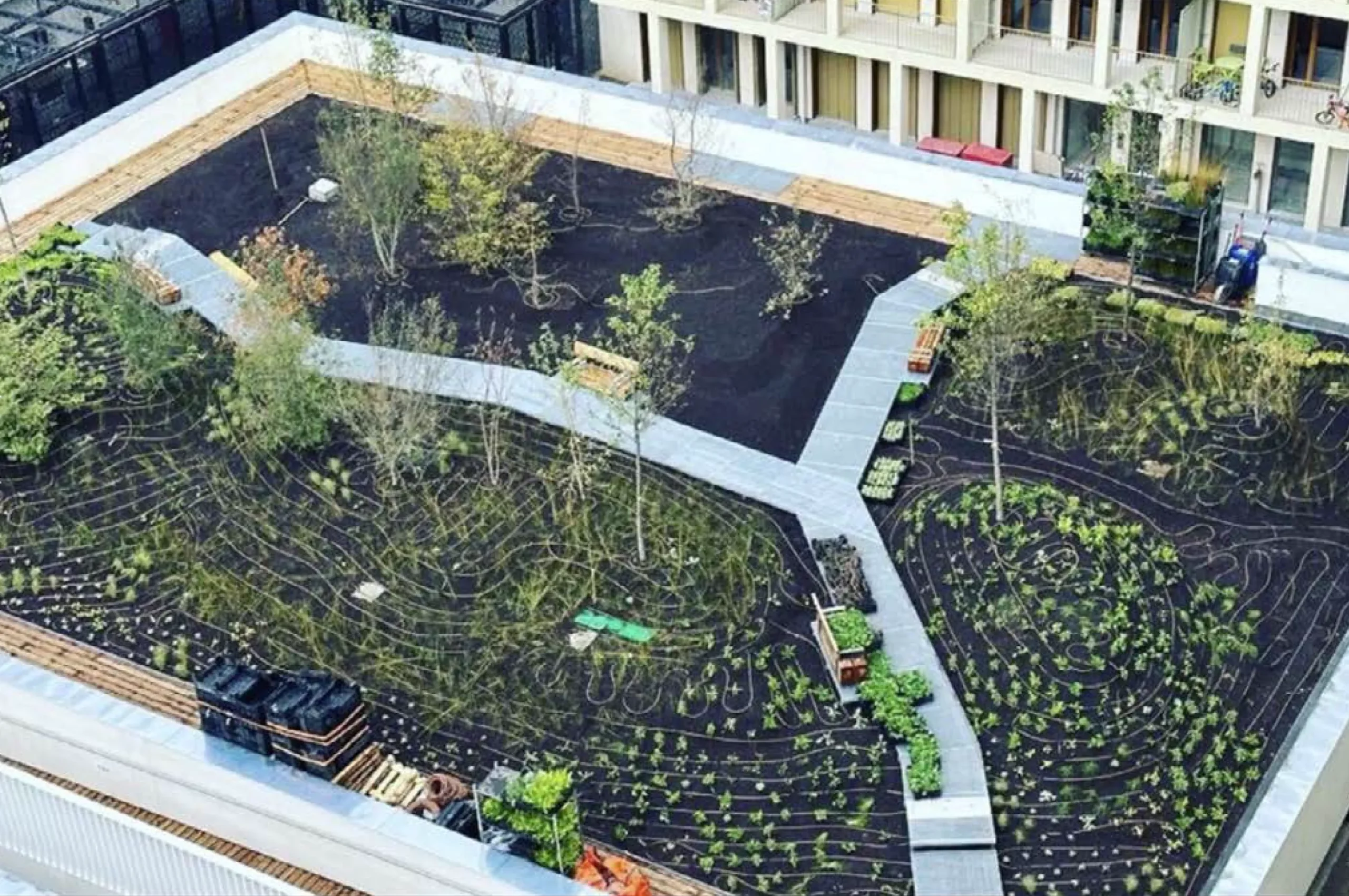 Gestion de la végétation