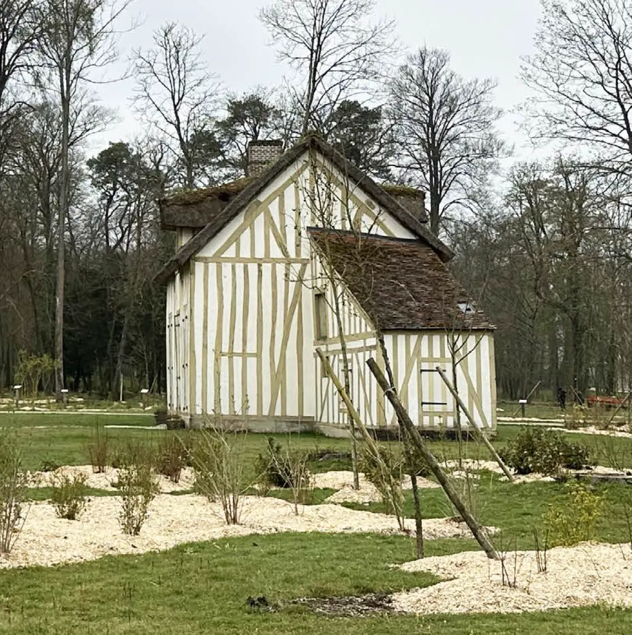 Jardin anglo-chinois