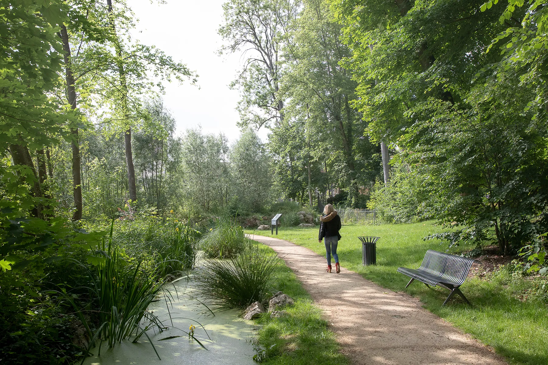 Parc paysager verdoyant