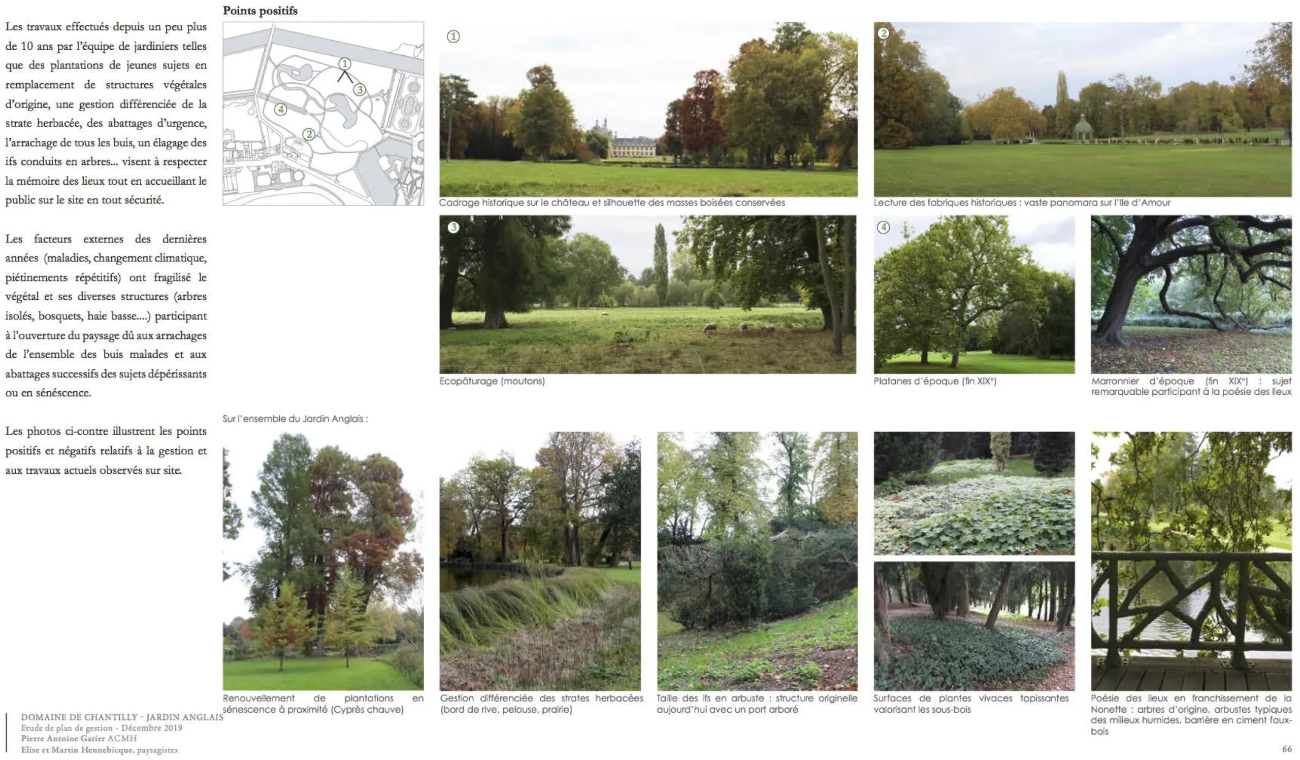 Diagnostic avec photos du jardin