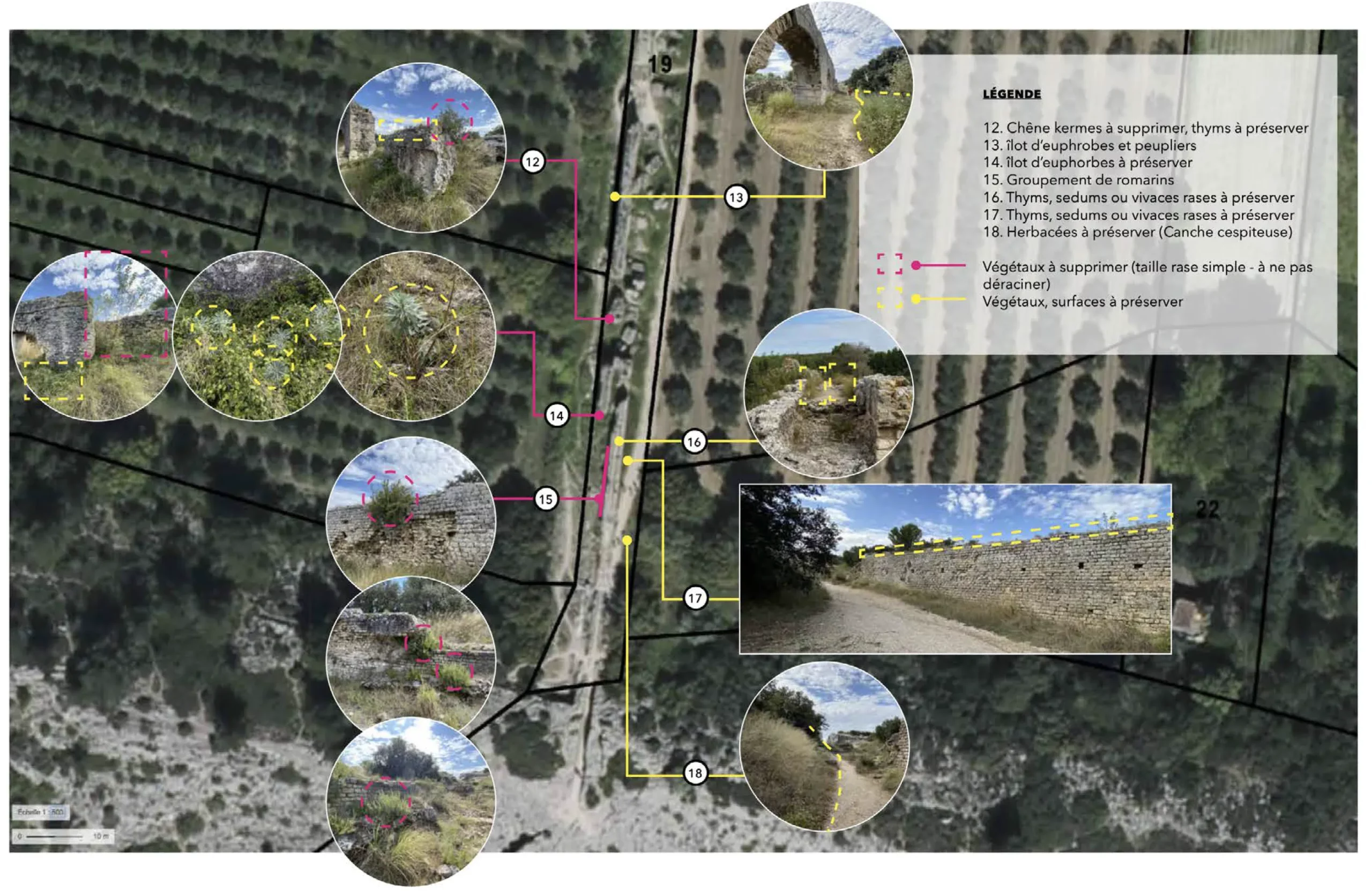 Préconisations de sélections végétales