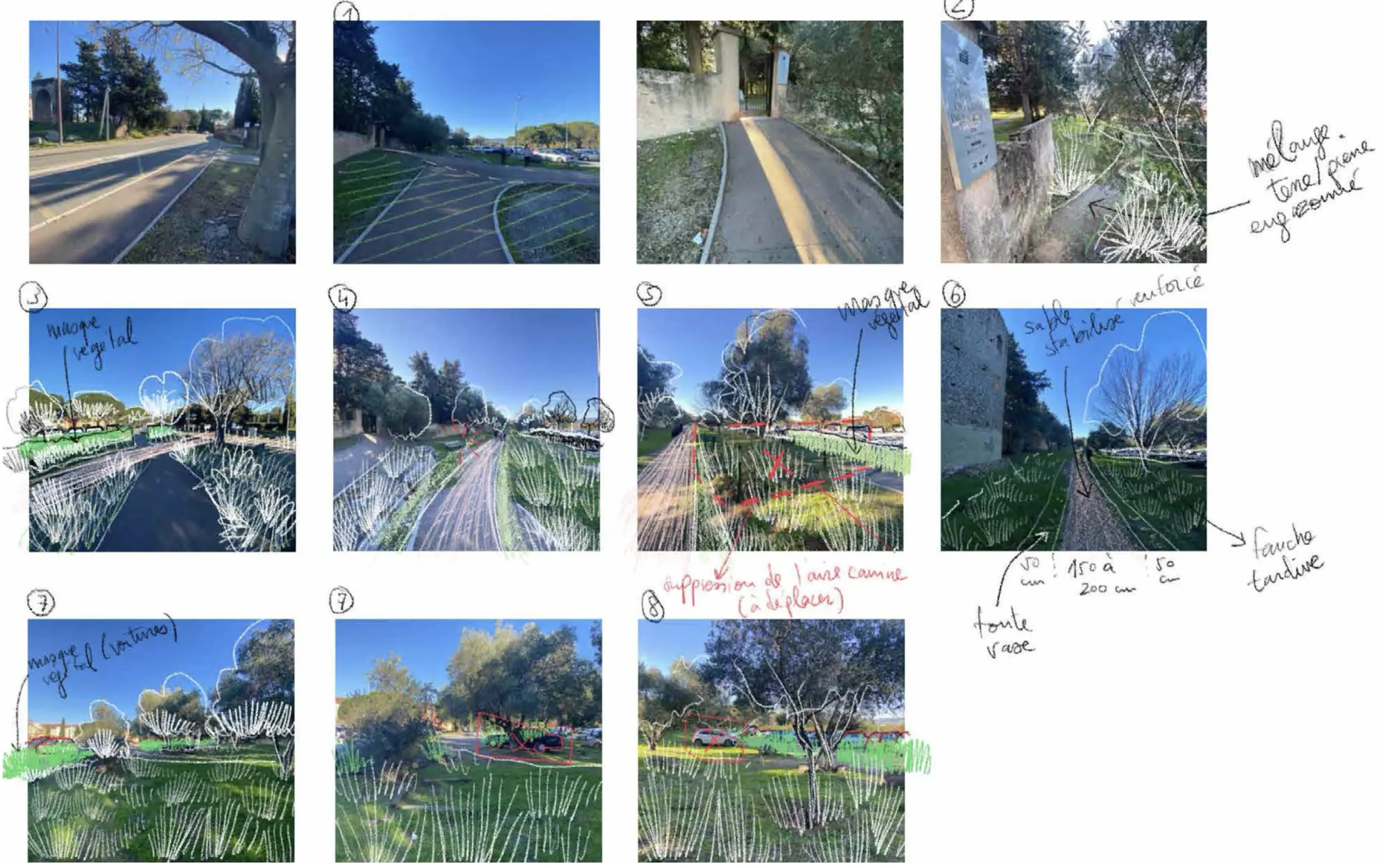 Préconisations végétales in-situ