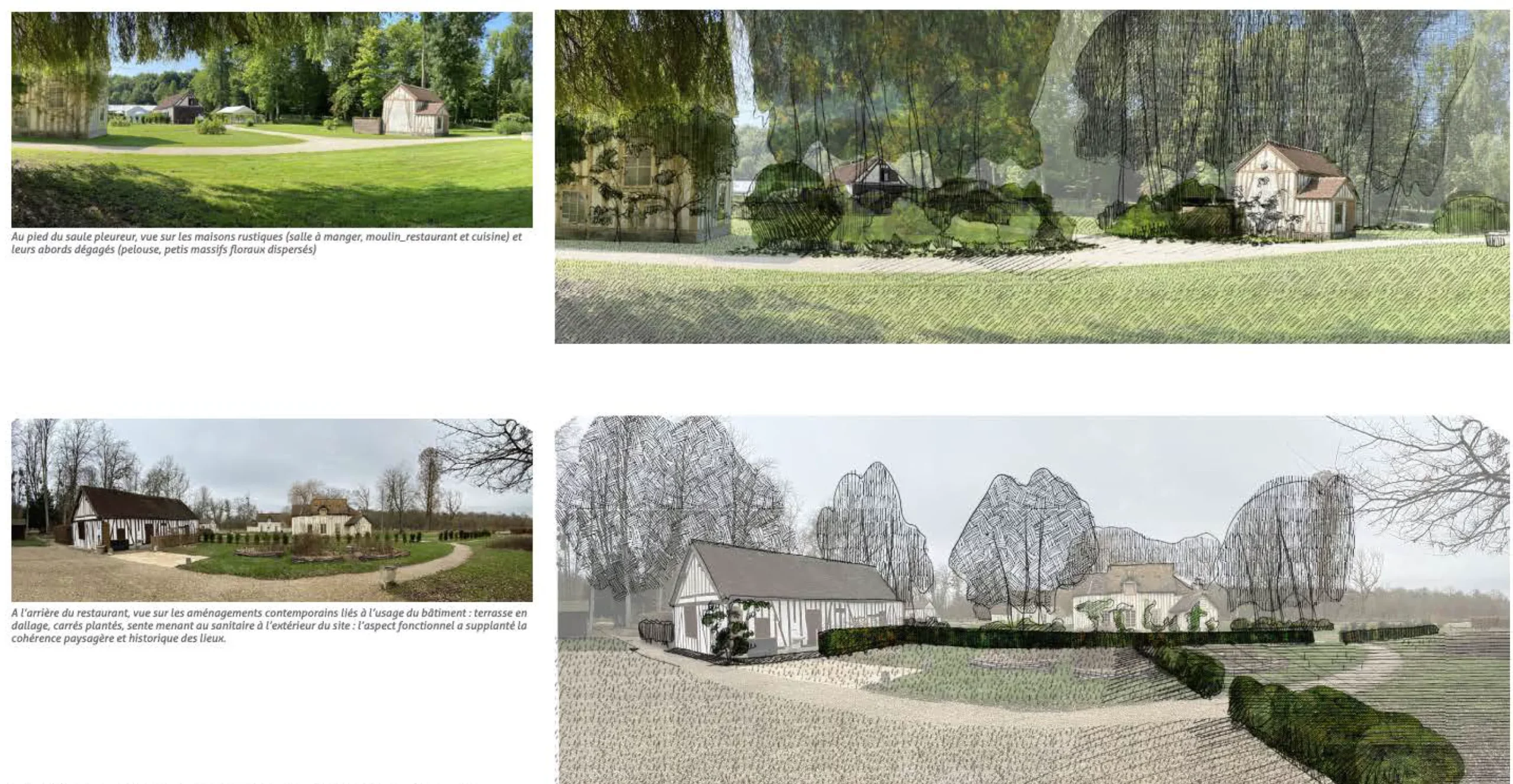 Propositions d'aménagements du jardin