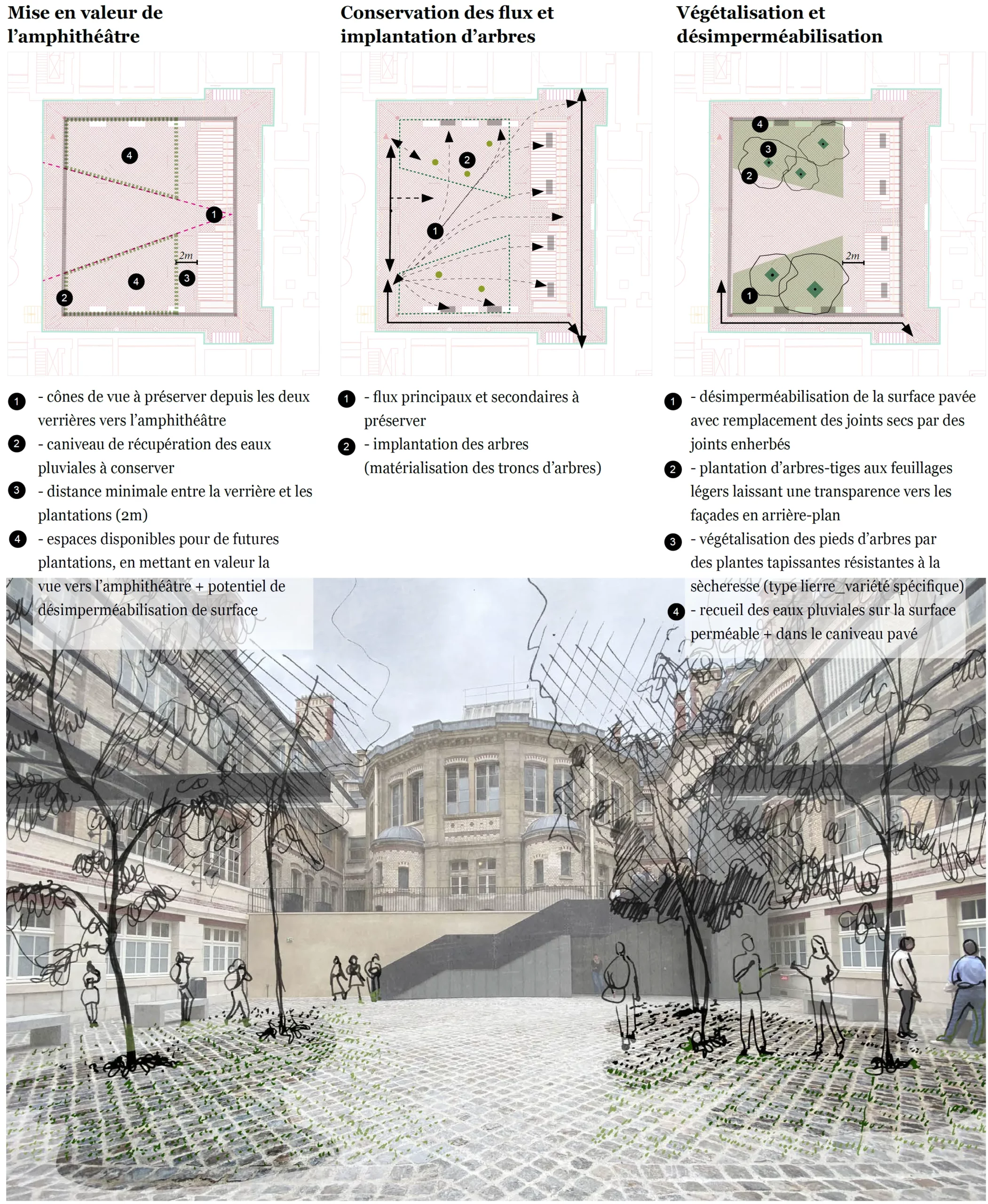 Scénario d'implantation paysagère