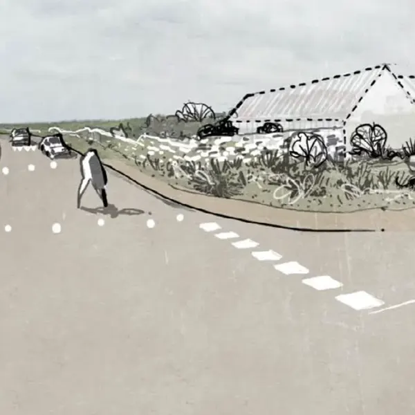 Aménagement du paysage à Wimereux